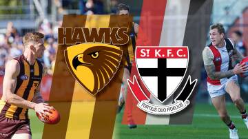 Hawthorn and St Kilda do battle on Saturday. Pictures by Rod Thompson and Phillip Biggs.