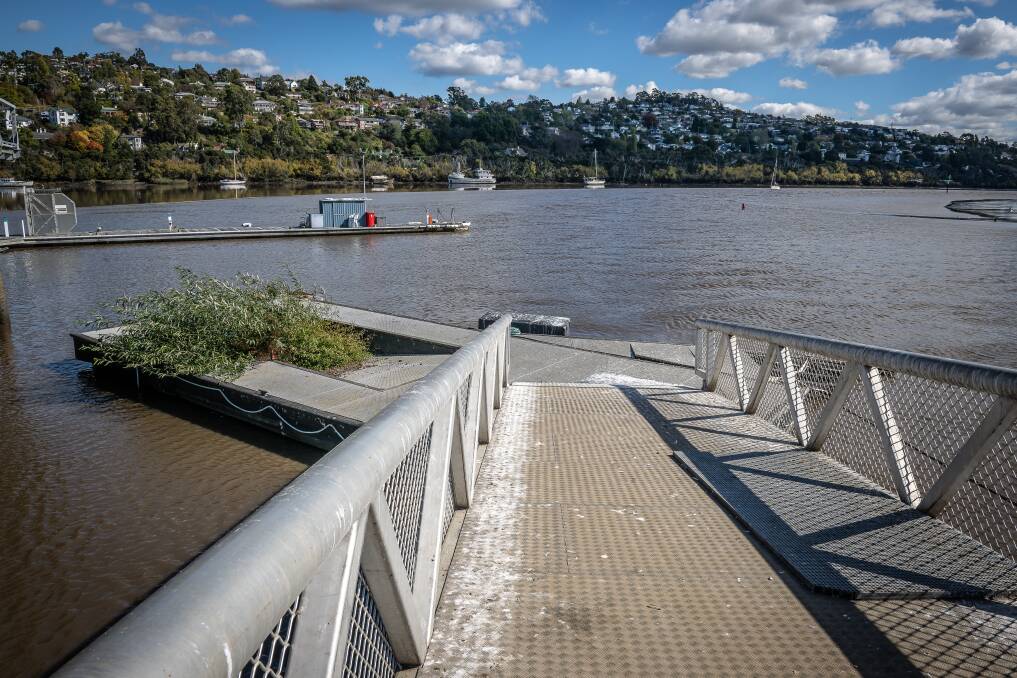 The pontoons are used by Tamar River Cruises and the 1st Tamar Sea Scouts. Picture by Craig George