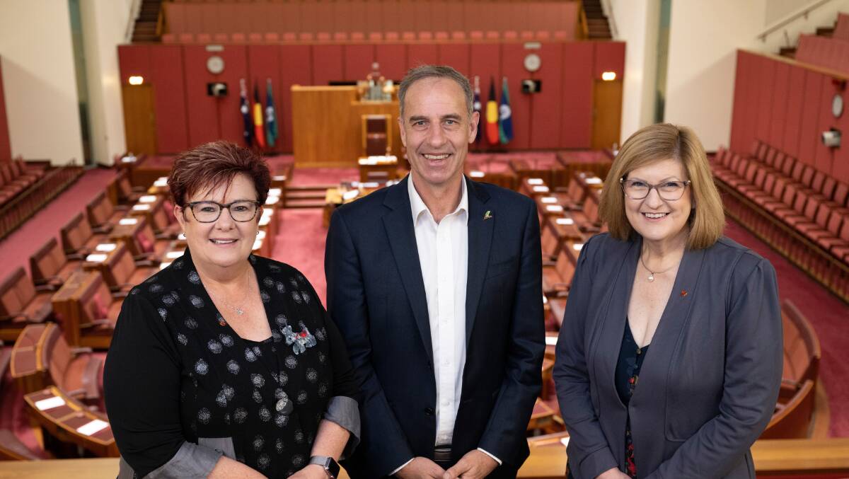 All hailing from Tasmania, Liberal Senator Wendy Askew, Labor Senator Anne Urquhart and Greens Senator Nick McKim in the Senate. Picture: AUSPIC