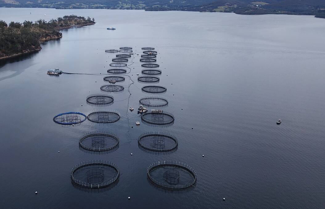 Fish farms have been operating in Macquarie Harbour for 30 years and are responsible for about 17 per cent of all jobs on the West Coast. File photo