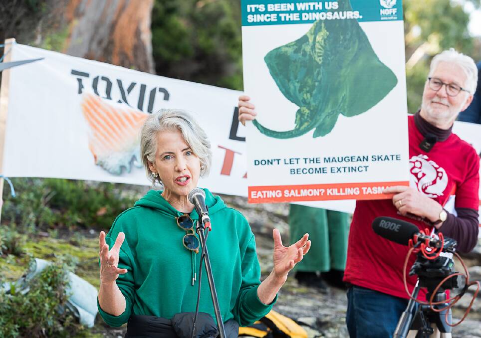 Greens Leader Dr Rosalie Woodruff and Neighbours of Fish Farming secretary Peter George have called for the closure of all Macquarie Harbour fish farms. File photo