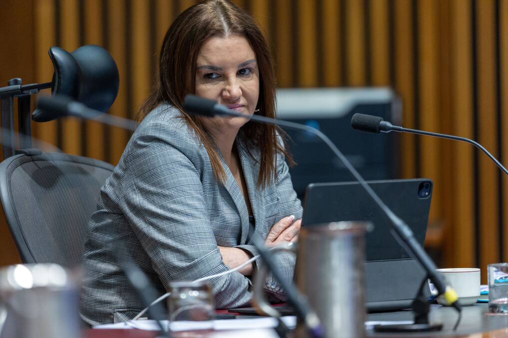Tasmanian Senator Jacqui Lambie has been asked to sign a legal agreement not to interfere in state party politics. File picture 
