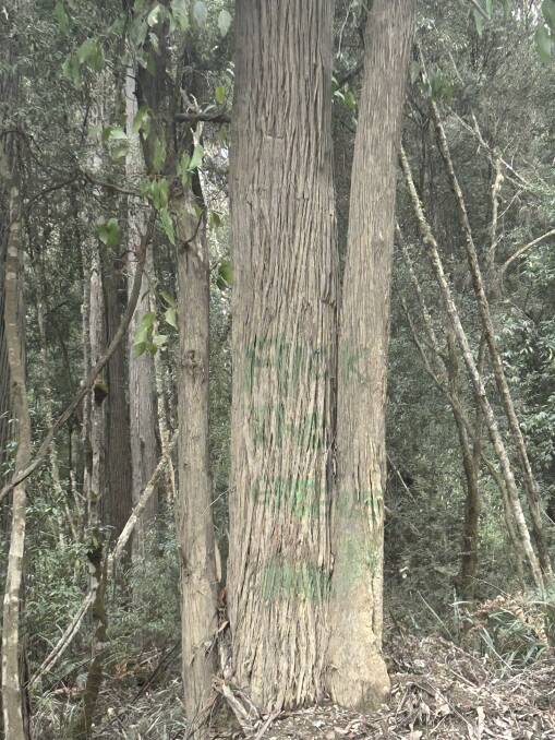 Anti-logging protesters claim foresters often leave abusive messages for them on trees. Picture supplied
