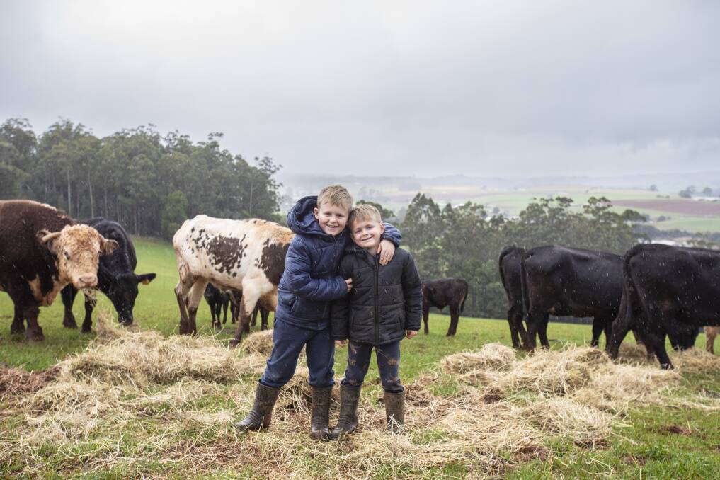 Nash, 8. and Jack Marshall, 6 feeding their cows near where the BnB will be built. Picture by Eve Woodhouse.
