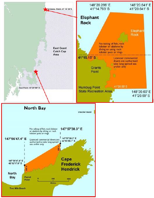 The Elephant Rock and North Bay rock lobster research areas. Picture supplied
