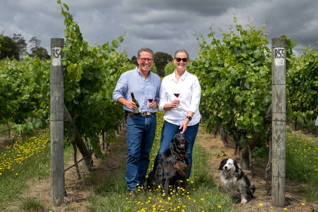Will and Jacquie Adkins at Westella Vineyard with dogs Lillie and Willow. Picture by Phillip Biggs
