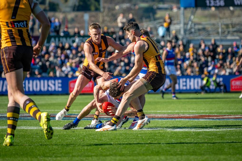 An accidental knee from Hawks' Connor Nash spelled the end of Tom Liberatore's match. Picture by Paul Scambler