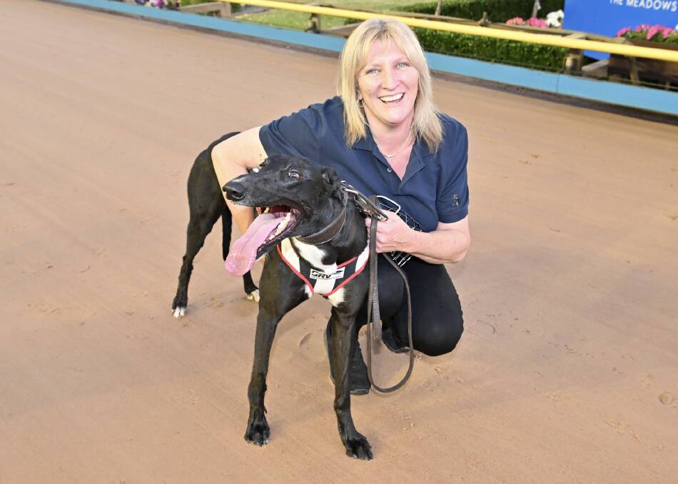 Handler Carol Martin with Raider's Guide winning his Hume Cup heat at The Meadows on Monday night. Picture supplied