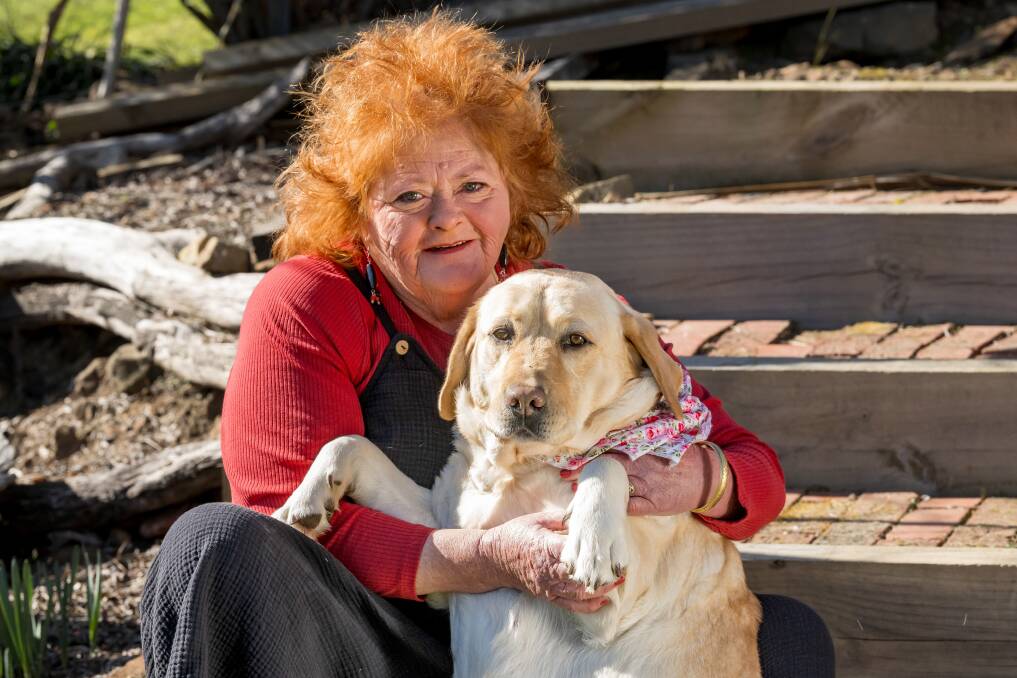 Lucy the Labrador and her human Pamela MacNamara of Blackstone. Picture by Phillip Biggs. 