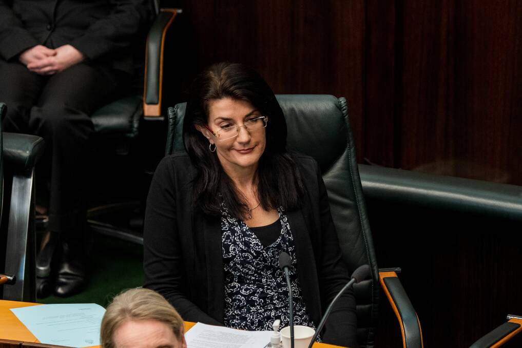Jacquie Petrusma has returned to politics after stepping down from the House of Assembly in 2022. Picture by Phillip Biggs