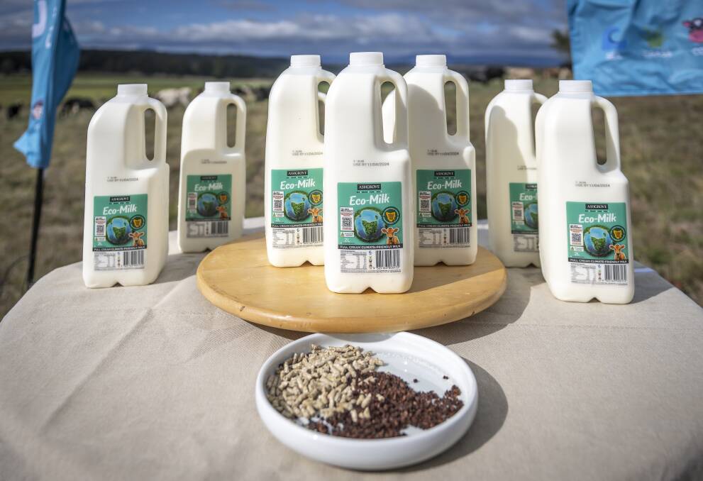 Ashgrove launching Eco-Milk in collaboration with SeaForest's SeaFeed. Picture by Craig George