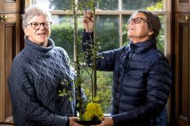 Eleanor Button and Aileen Duke are hosting an ikebana display at Franklin House. Picture by Phillip Biggs