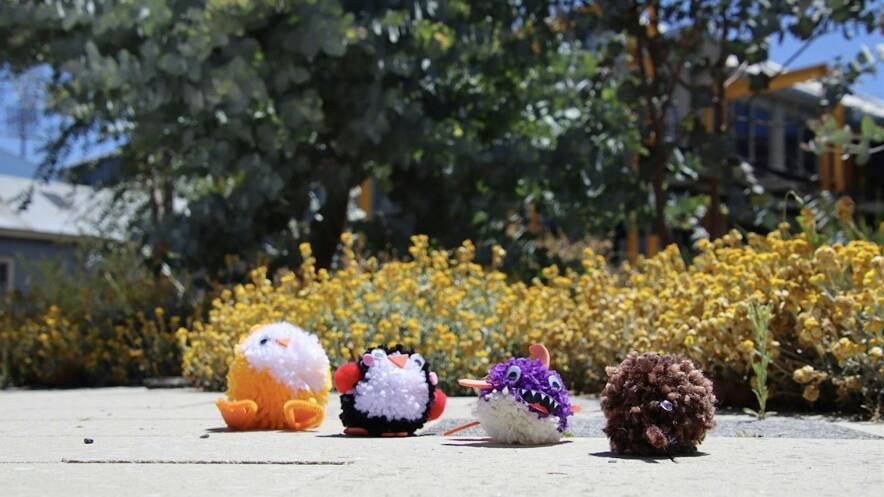 Make your own pom-pom creature with the QVMAG Learning Team. Picture supplied