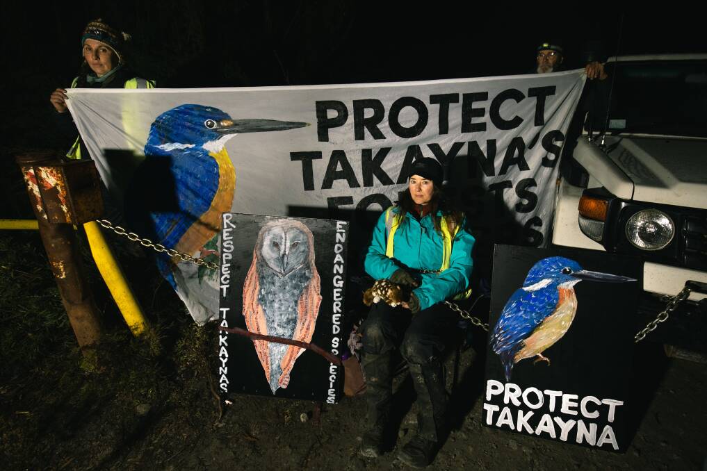 Bob Brown Foundation's forest defenders protesting in Takayna. Photo supplied