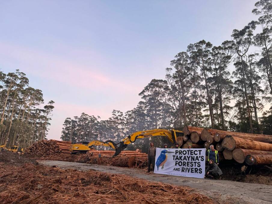 A logging coupe in Takayna / Tarkine with Bob Brown Foundation's protesters holding up a sign. Photo supplied