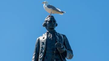 James Cook statues are being defaced. Picture Shutterstock