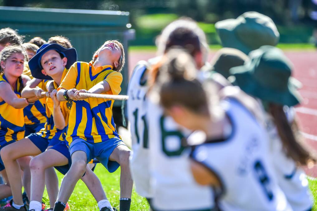 Lsssa Primary School Athletics Carnival Goes Down To The Wire The Examiner Launceston Tas