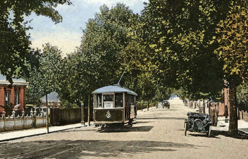 The No. 4 Gorge tram on Elphin Road, probably at Christmas 1913. A 1912 Hupmobile is parked under a tree. Picture by Launceston Library, LPIC147-6-330