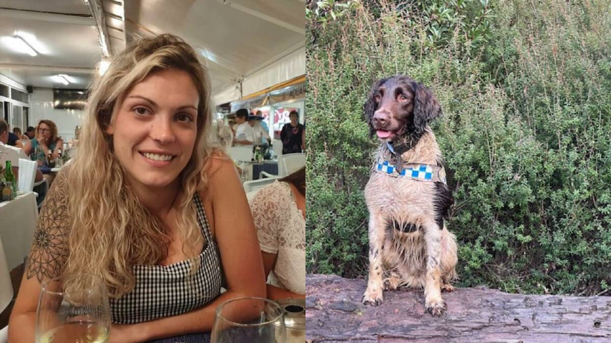 Waggs the New South Wales Police cadaver dog was used in the search for Celine Cremer at Waratah at the weekend. Pictures supplied