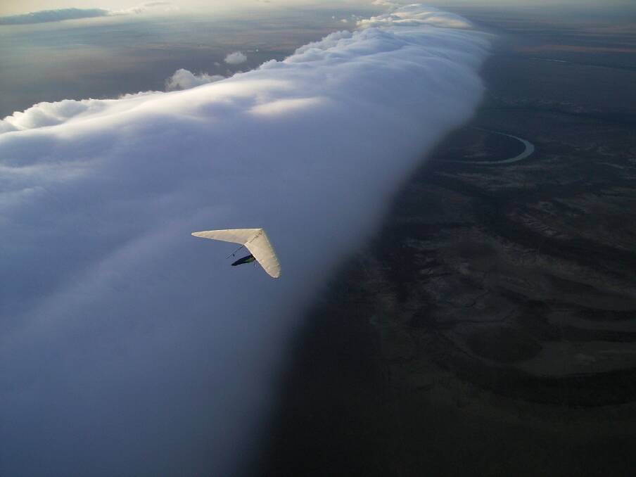 morning glory cloud hang gliding