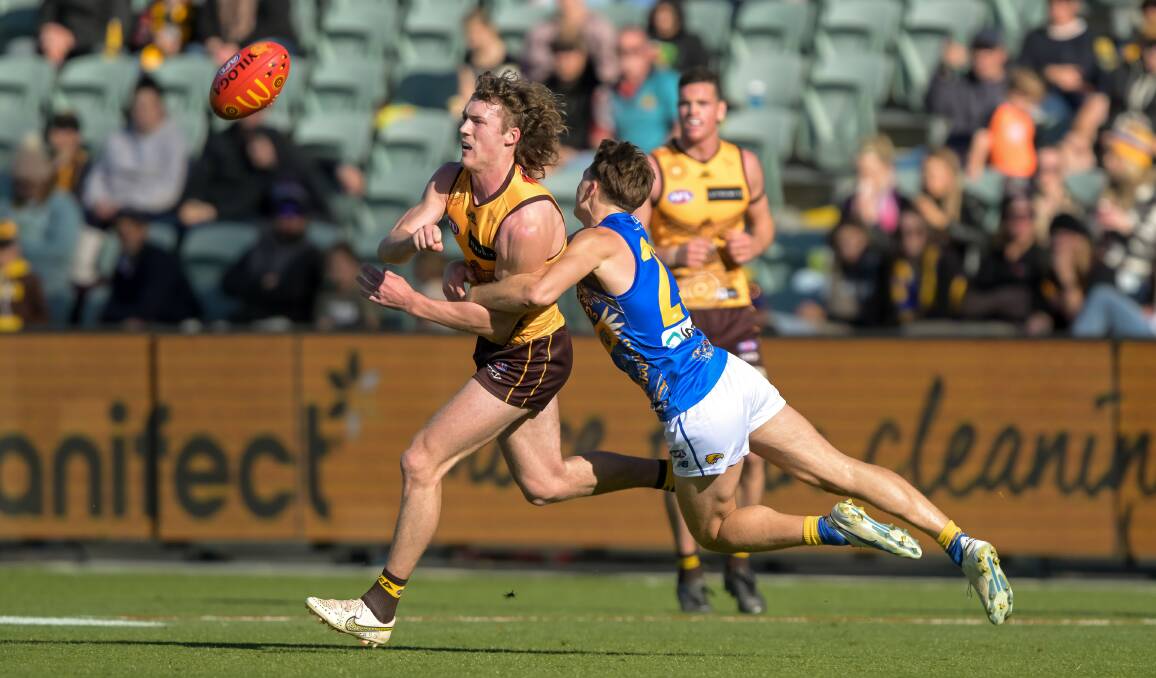 Promising talent Josh Weddle in action for Hawthorn against West Coast at UTAS Stadium in 2023. Picture by Phillip Biggs 