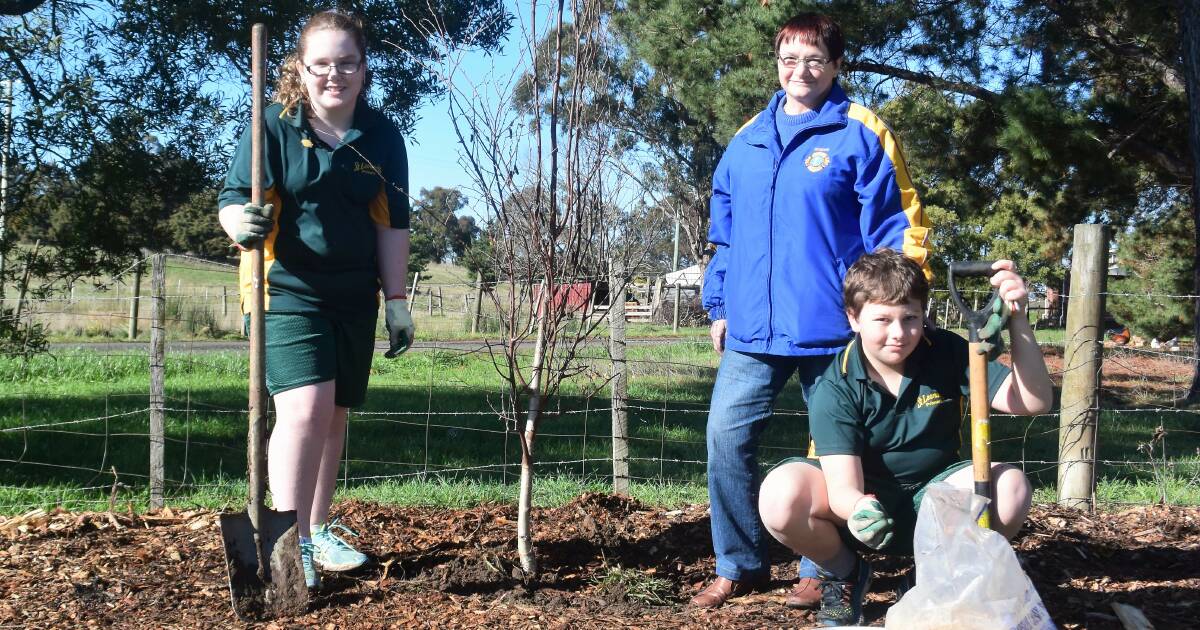 Planet Ark's Schools Tree Day celebrated by Kings Meadows Lions Club ...