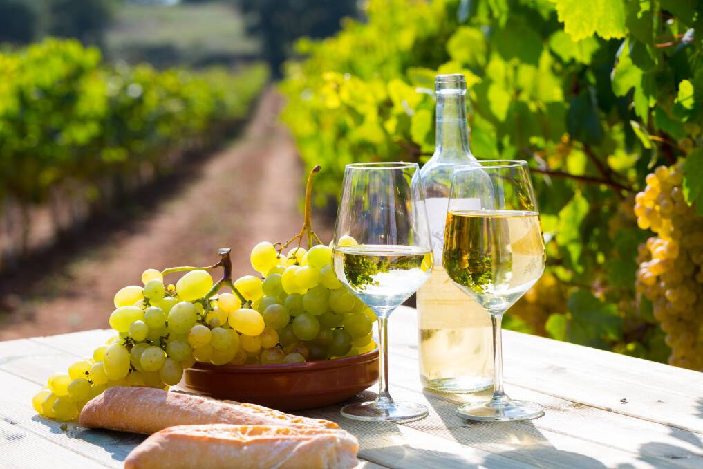 Pinot grigio goes exceptionally well with many dishes that are easy to cook at home thanks to its unique citrus fruit flavour profiles and delicate sweetness. Picture Shutterstock