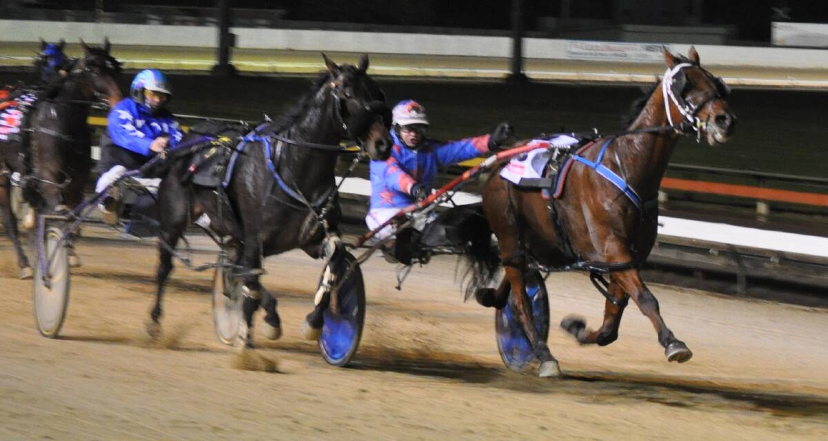 UPSET: Blackbird Power, driven by Mark Yole, fights on strongly to beat Scooterwillrev at Devonport on Sunday night. Picture: Greg Mansfield