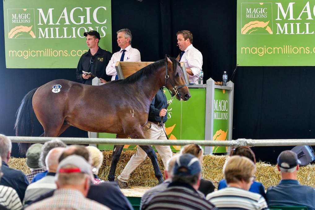 The 2021 Tasmanian Magic Millions Yearling Sale will be held at Carrick - restrictions permitting.