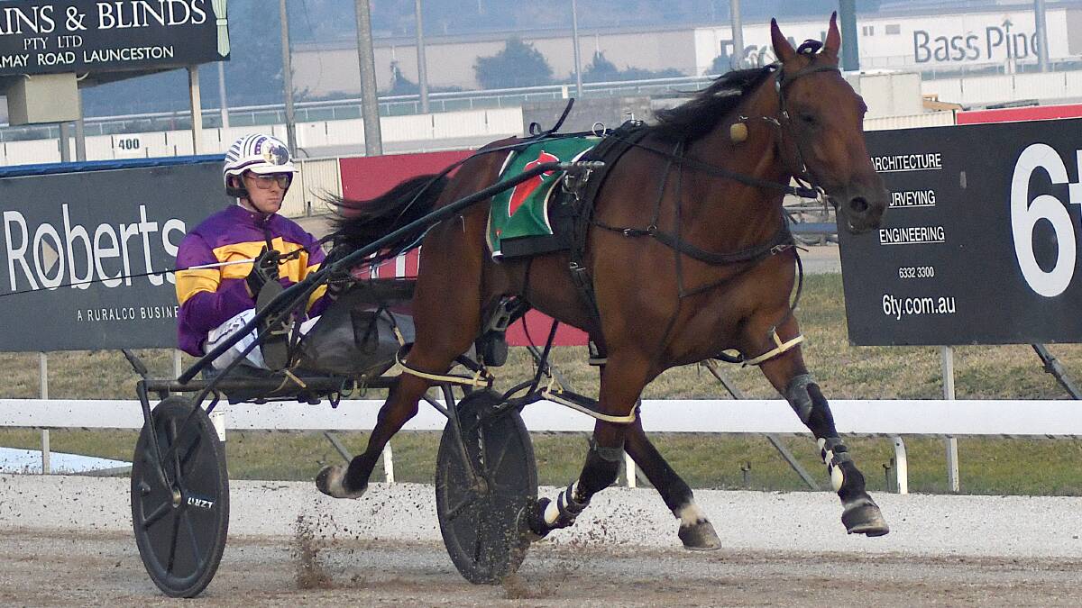 Lip Reader looks well handicapped to win the NWTLHA Cup for the second year in a row. Picture: Stacey Lear