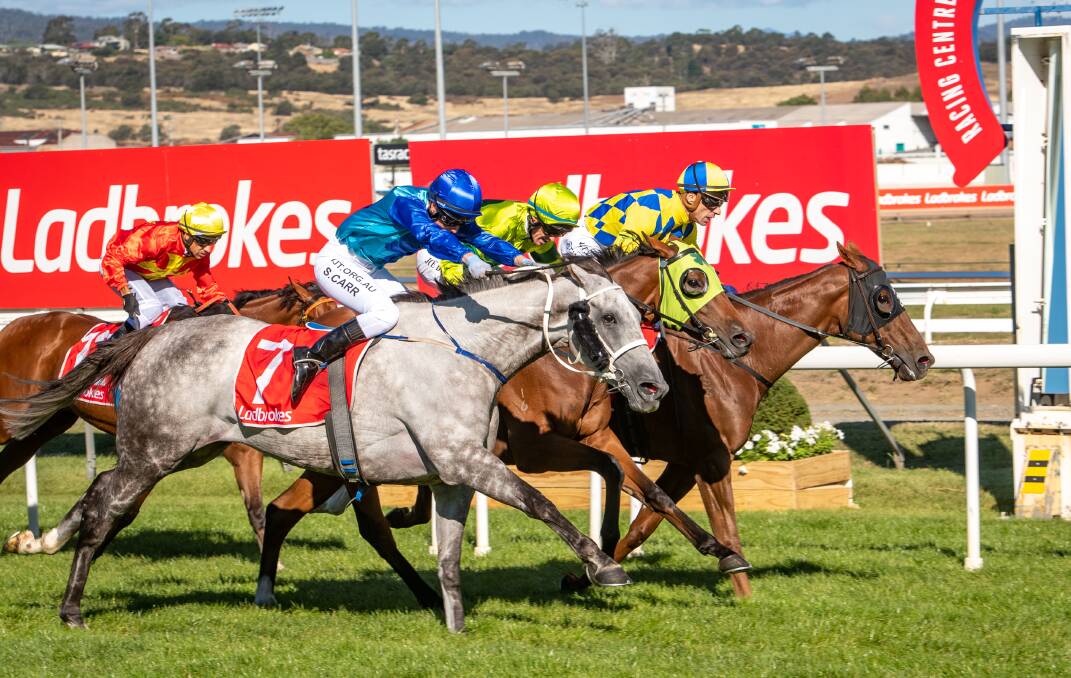 Glass Warrior (outside) gets up in the last stride to win the Launceston Cup. Pictures: Paul Scambler