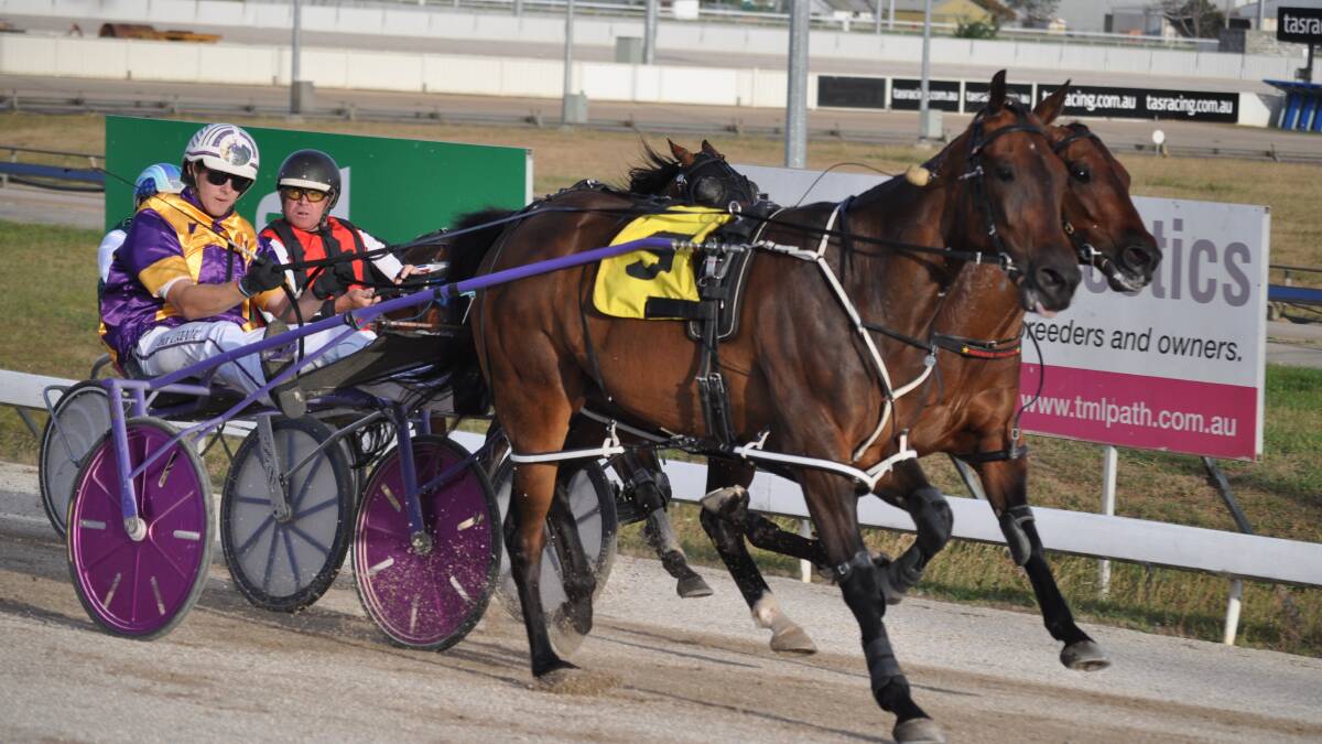 Chilla Breeze is the only horse standing between Ben Yole and a win in the main race in Devonport on Sunday.