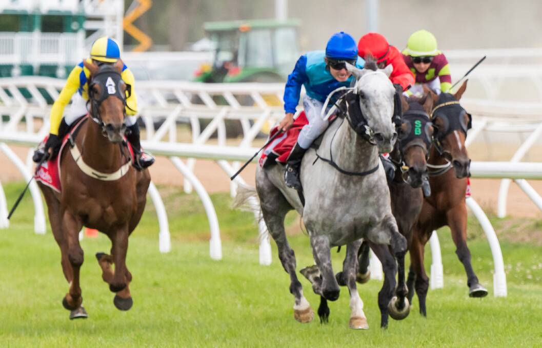 SAME AGAIN: Glass Warrior (Kyle Maskiell) wins the 2021 Longford Cup. Trainer John Blacker is chasing his third successive cup on Saturday.