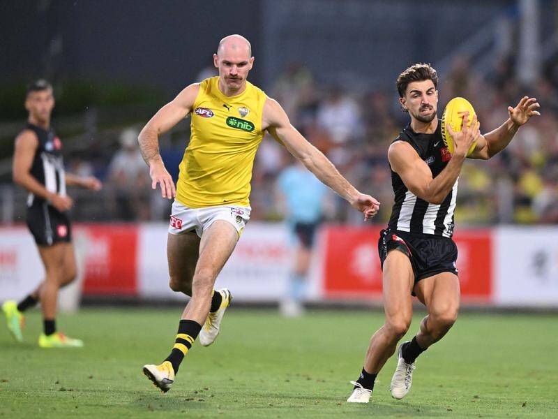 Josh Daicos (r) was one of Collingwood's stars in the 30-point win over Richmond at Ikon Park. (James Ross/AAP PHOTOS)