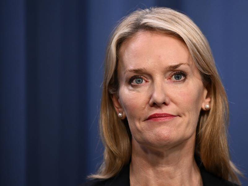 NSW minister Natalie Ward sought unsuccessfully to move from the upper house to run for Davidson. (Dan Himbrechts/AAP PHOTOS)