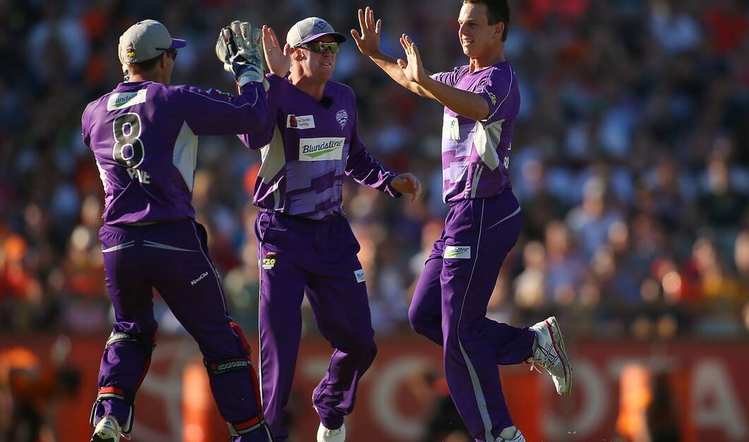 The Hurricanes celebrating taking a wicket during a Big Bash game in Perth earlier this year. Picture: Getty Images