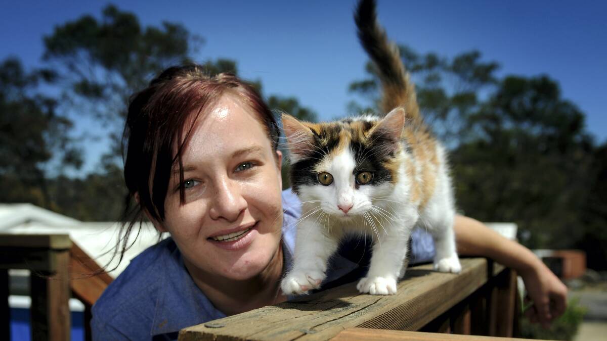 RSPCA cattery team leader Aila Preston with 12-week-old Lana. Picture: GEOFF ROBSON