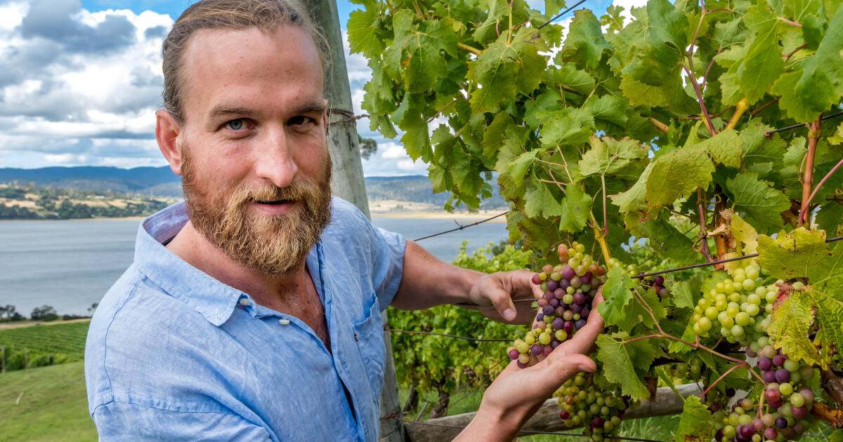 Rush Wines: Tasmanian winemaker Sam Rush launches new wine label | The ...