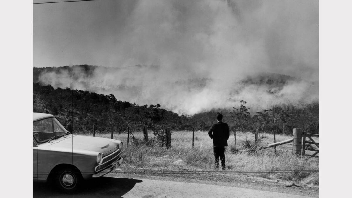 1967 Bushfirse: One of a number of bushfires burning in the north. This one burnt out a large property at St Leonards in February.