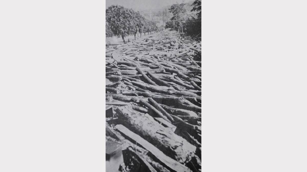 1929 Floods: Logs and other debris on the tramline leading to King's Wharf. The Weekly Courier, April 17, 1929.